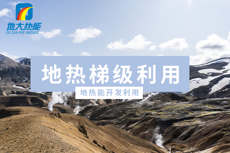 商河縣、東營市“地熱能+花卉”產業熱起來了，重要的經驗是什么？-地大熱能